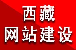 西藏酒店網(wǎng)站建設(shè)特色、設(shè)計、定位有哪些？