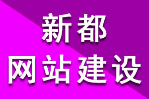 新都網站建設兩種方式分享